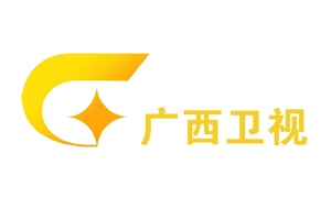 广西台台标