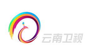 云南台台标